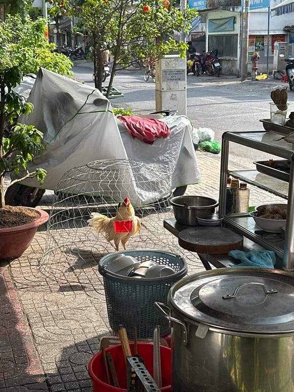 Caged rooster spotted on Ho Chi Minh City sidewalk