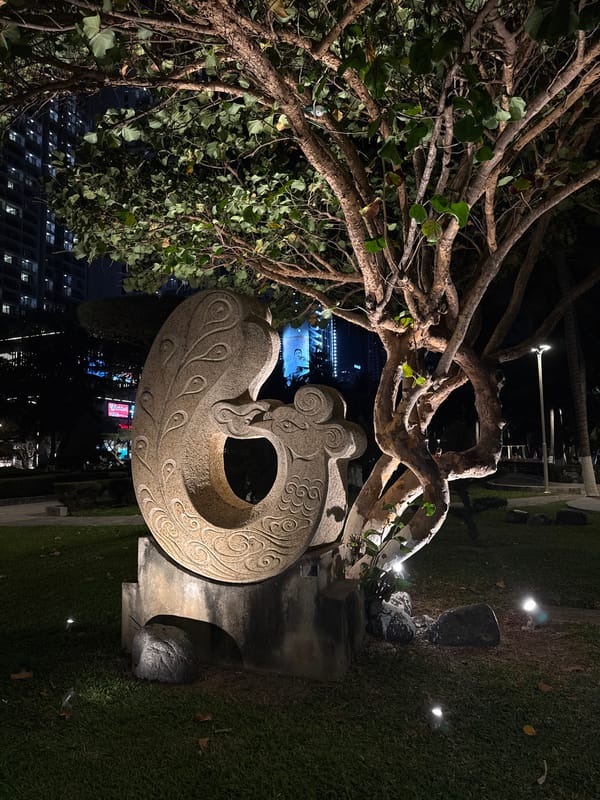 Nighttime scene with tropical tree documented in Nha Trang
