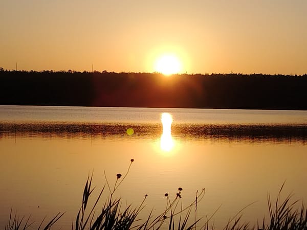 Golden hour over a still lake, shot from multiple angles