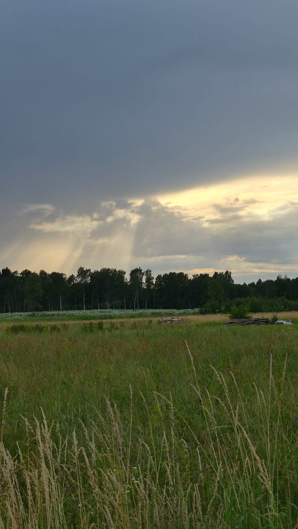 A quiet summer afternoon in rural Krauja, Latvia