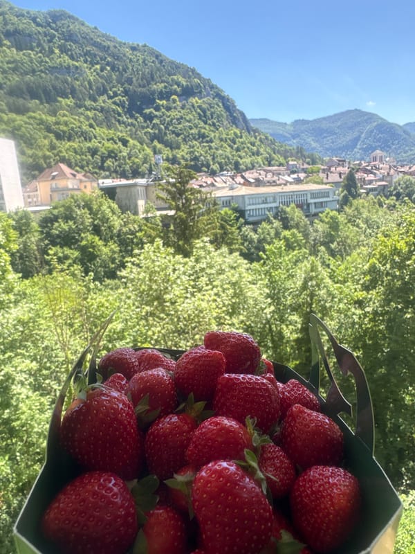 Strawberries, motorcycles, and a sunny morning in Saint-Claude