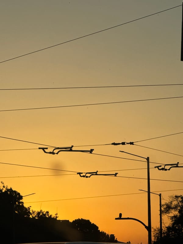 Utility wires lace a warm Sofia sunset sky