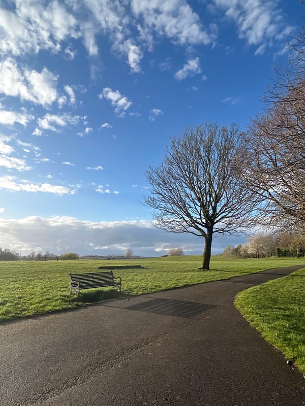 Quiet park scene documented in Glasgow