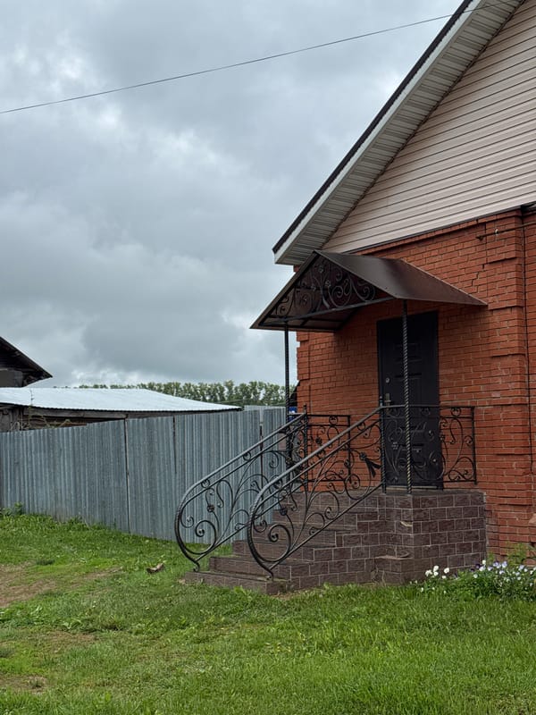 Rural morning scenes documented in Rusalevka, Russia