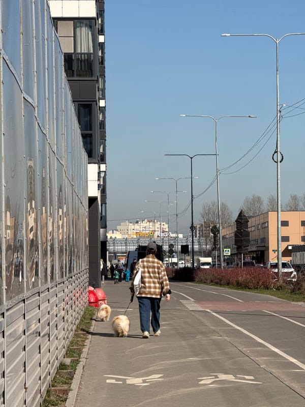 Spring morning scenes captured across Saint Petersburg