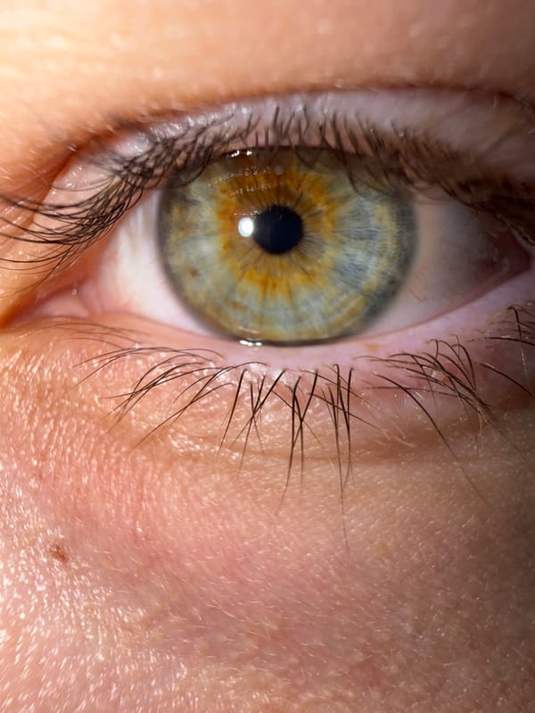 Quiet morning documented with dog in Stara Zagora home