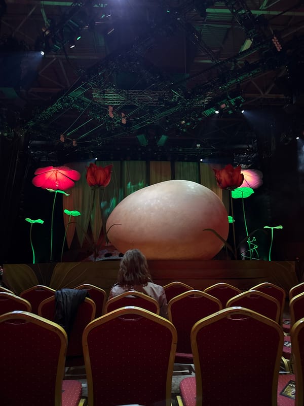 Attendee documents performance venue visit in Sofia auditorium