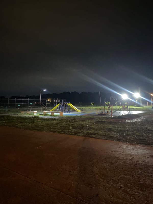 Nighttime street food and playground scenes documented in Davao City