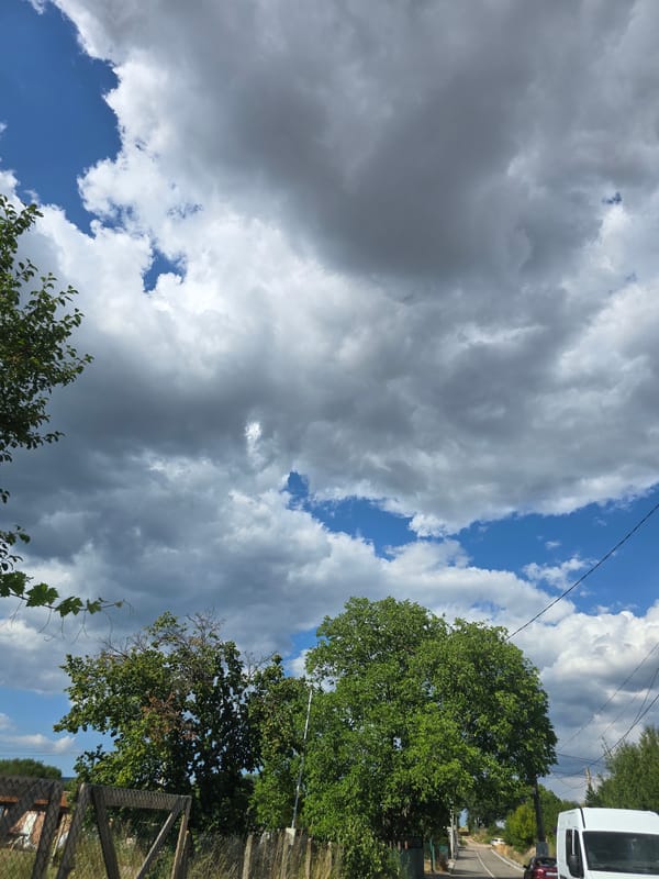 Neighborhood stroll on a cloudy afternoon, green sunglasses in frame