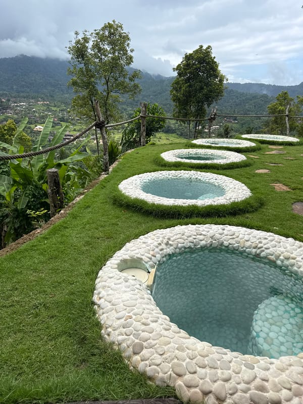 Hen walks between stone pools in Sidemen, Indonesia