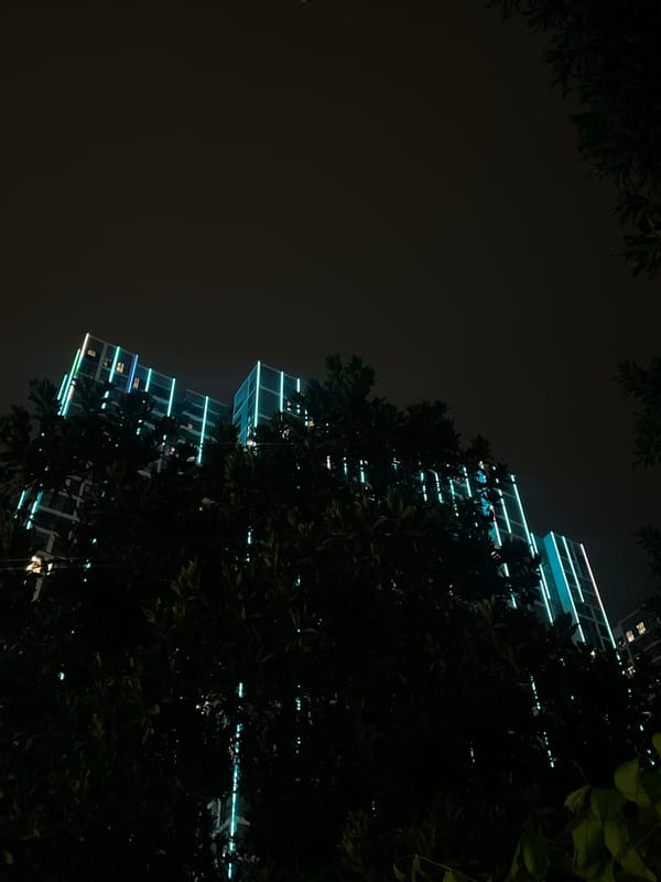 Night stroll through Hanoi's modern residential district with quirky collectibles