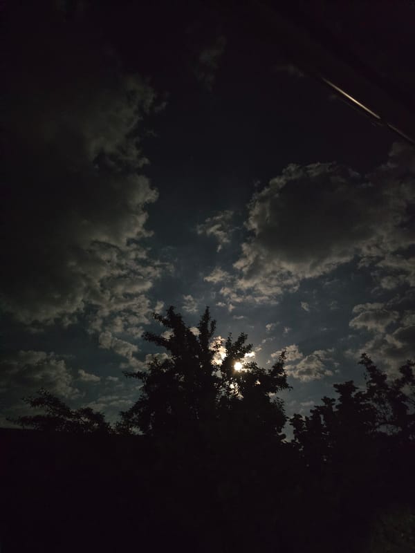 Duck family rests at night under a cloudy Moldovan sky