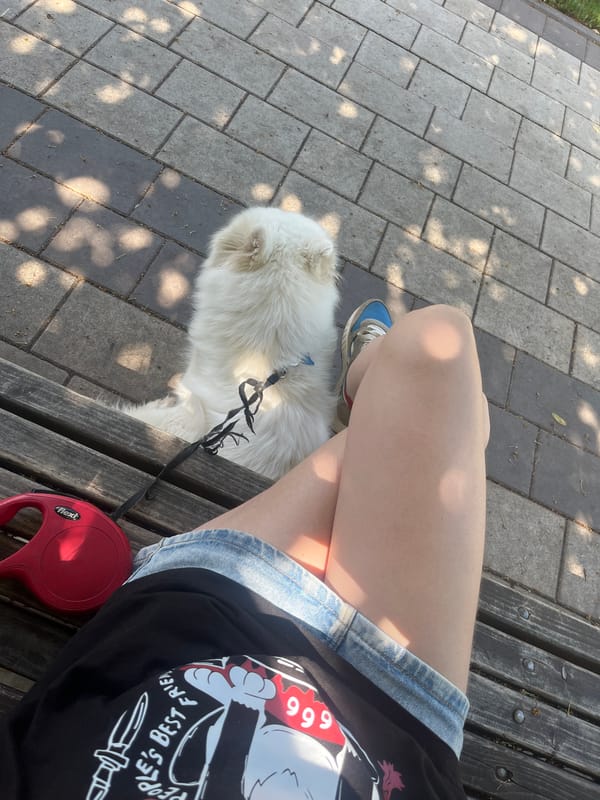 Lazy morning outside with a dog and some greenery