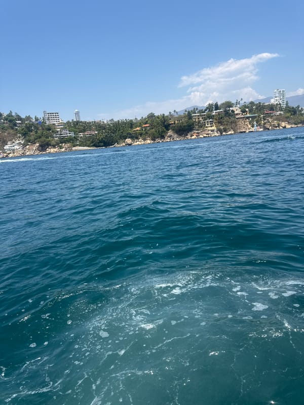 Acapulco coastline viewed from ocean waters