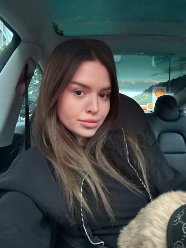 Car selfies and a small dog in Prague