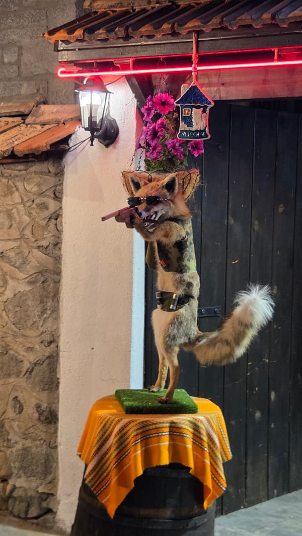 Taxidermied fox in camo gear holds pink toy rifle in Bansko