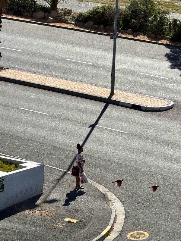 Routine Cape Town street life captured in five-minute span