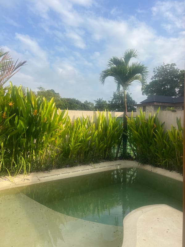 Backyard pool day with a fluffy white dog in Kediri
