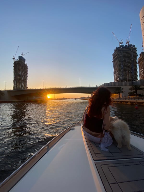 Woman enjoys sunset boat ride with dogs in Dubai