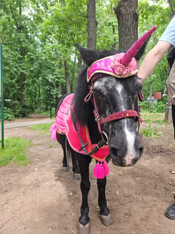 Themed park morning in Ulyanovsk with unicorn horse and rides