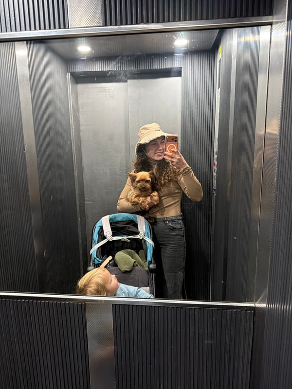 Morning pet moments captured in Kiryat Bialik elevator, parking lot