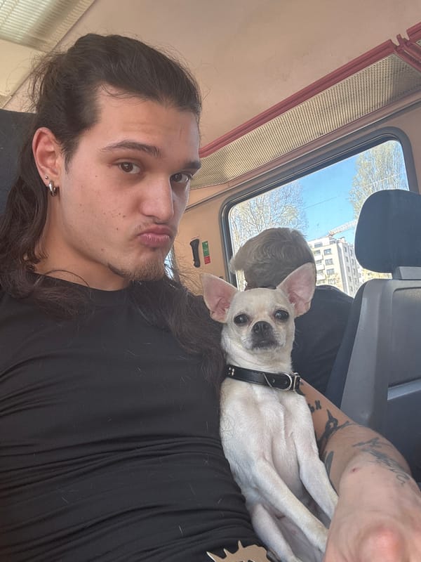 Person poses with Chihuahua in Sofia, Bulgaria