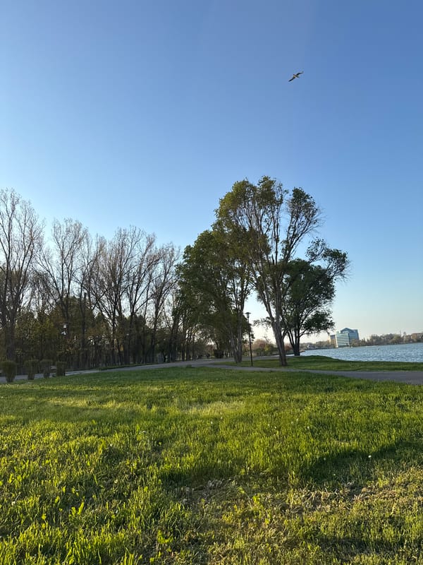 Afternoon park scenes documented along Constanța waterfront