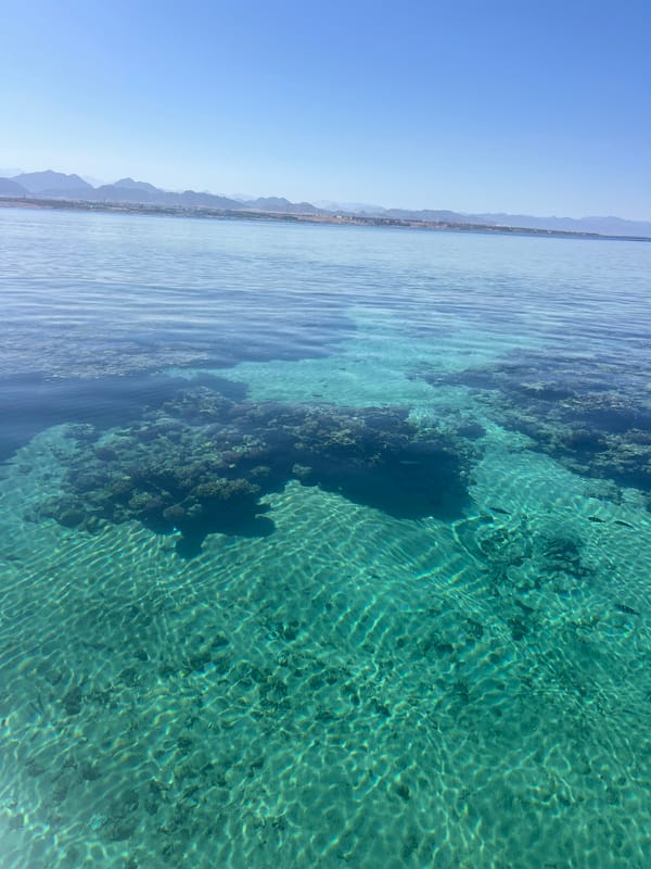 Shallow Red Sea reef, Sharm El Sheikh
