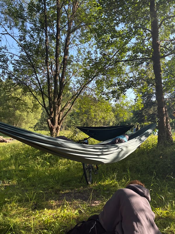 Morning hangout spot with hammocks in a Dvorce woodland clearing