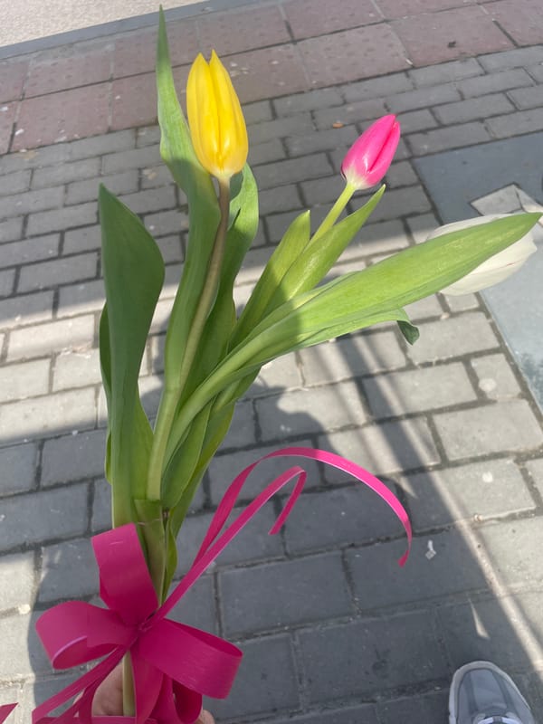 Colorful tulip bouquet photographed outdoors in Varna, Bulgaria