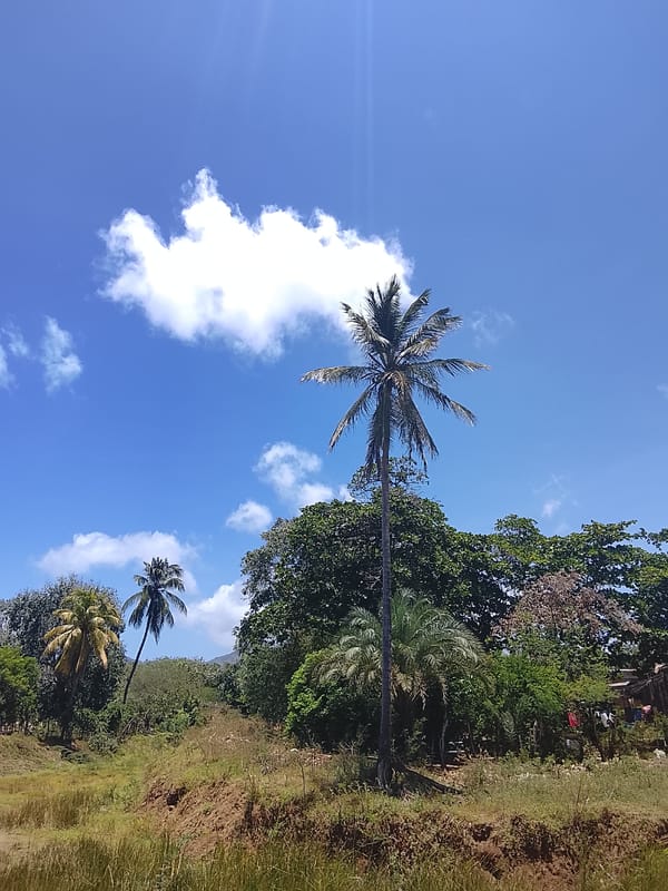 Afternoon life documented in Venezuelan town of Altagracia
