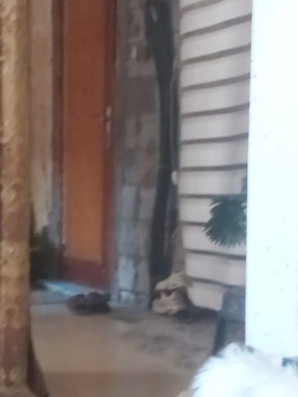 Everyday objects inside a damaged dwelling in Khan Yunis