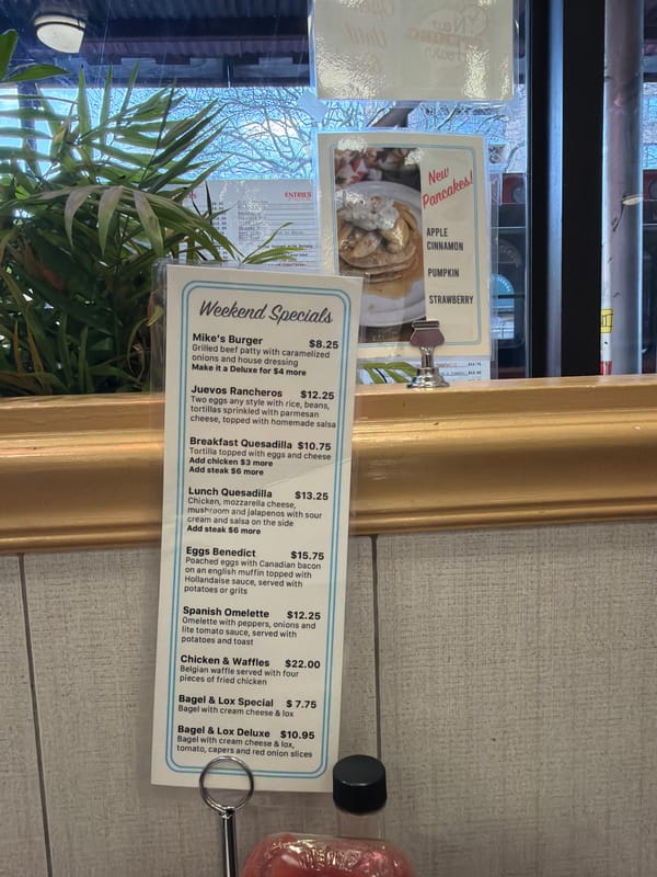 Diner documents lunch visit to NYC delicatessen