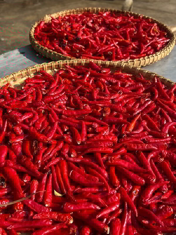 Street vendors display peppers, hats in decorated Nha Trang