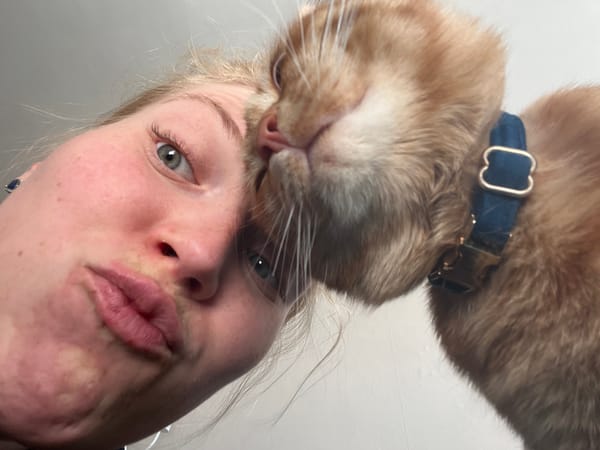 Woman shares quiet morning moments with cats in Moscow home