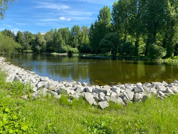 Park, ducks, and historic landmarks in central Yekaterinburg