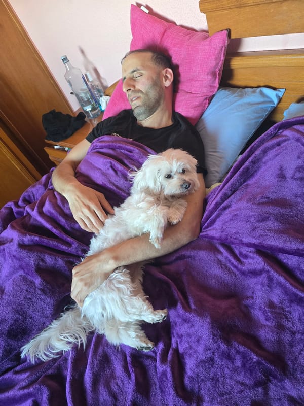 Man and white dog share quiet morning moment in bed