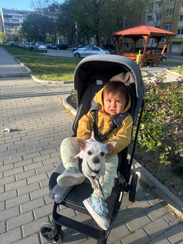 Woman, toddler enjoy sunny afternoon walk with white dog
