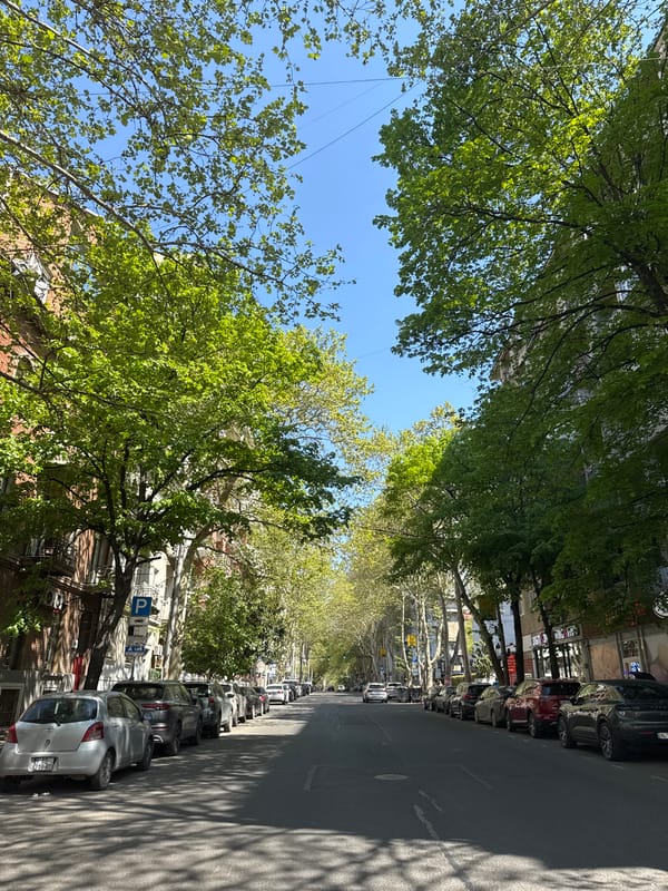Spring morning scenes documented across Tbilisi, Georgia