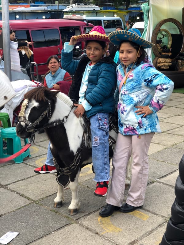 Evening flower market and street performances enliven La Paz