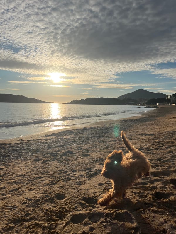 Afternoon beach stroll and pastry making documented in Montenegro