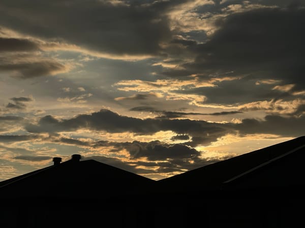 Summer solstice sunset over Gatineau apartments, balcony garden and black cat