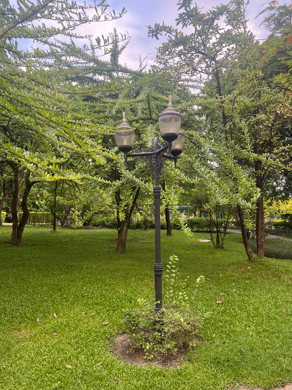 Urban park with a wildlife-filled pond and garden paths