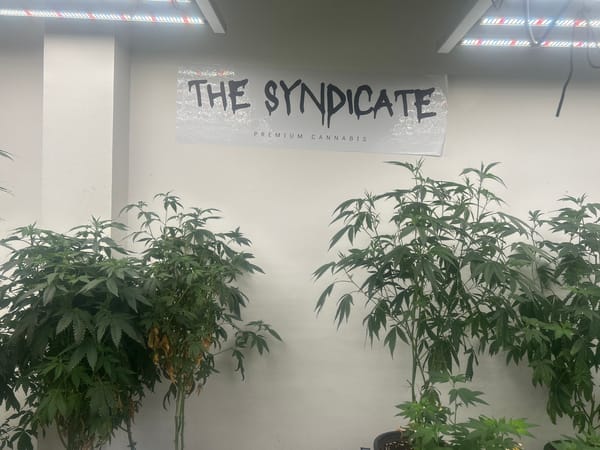 Inside a cannabis dispensary in Rawai, Thailand
