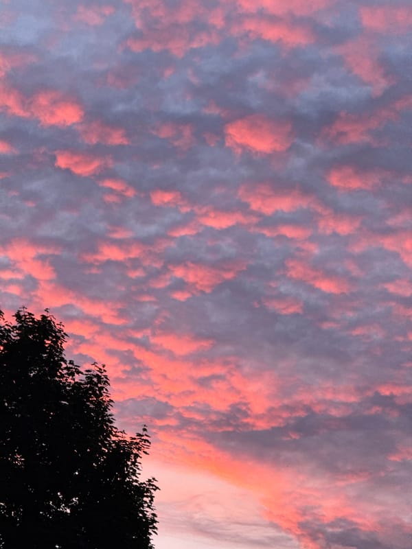 Vibrant pink sunset clouds illuminate Riga sky