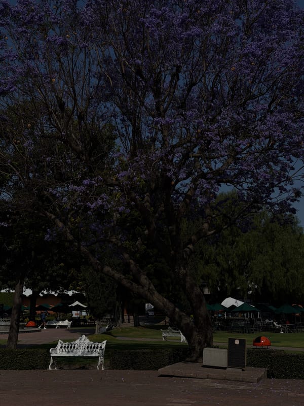 Spring afternoon scenes captured across San Andrés Cholula