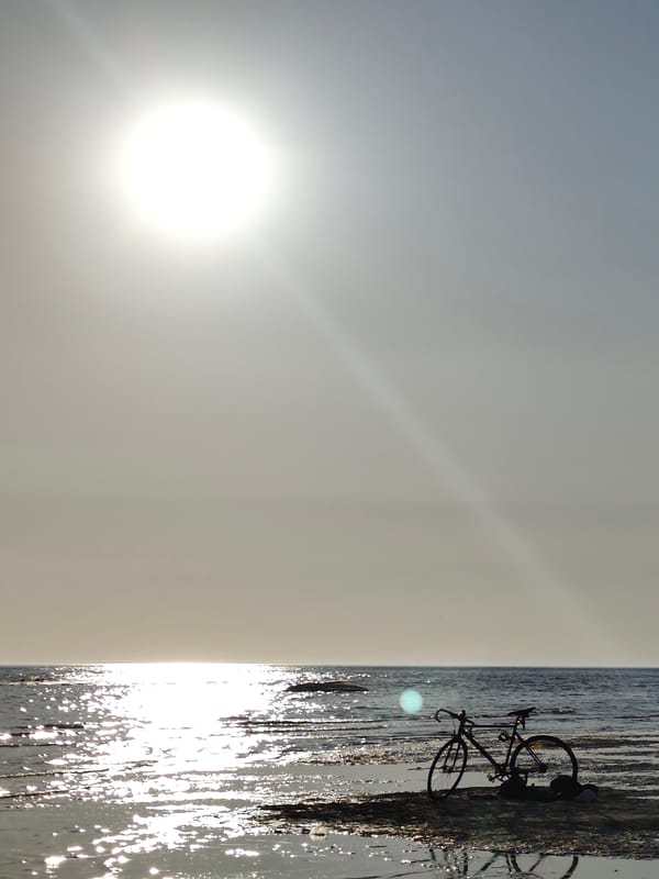 Caspian shoreline afternoon: bikes, a cat, and a crayfish