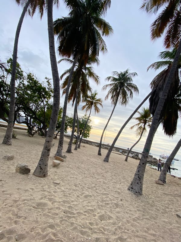 Young man takes sunset selfies on Venezuelan beach