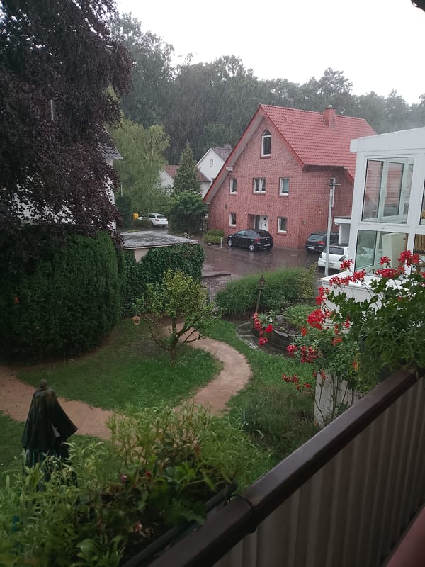 Rainy afternoon in a Rheda-Wiedenbrück garden, geraniums and gazebo
