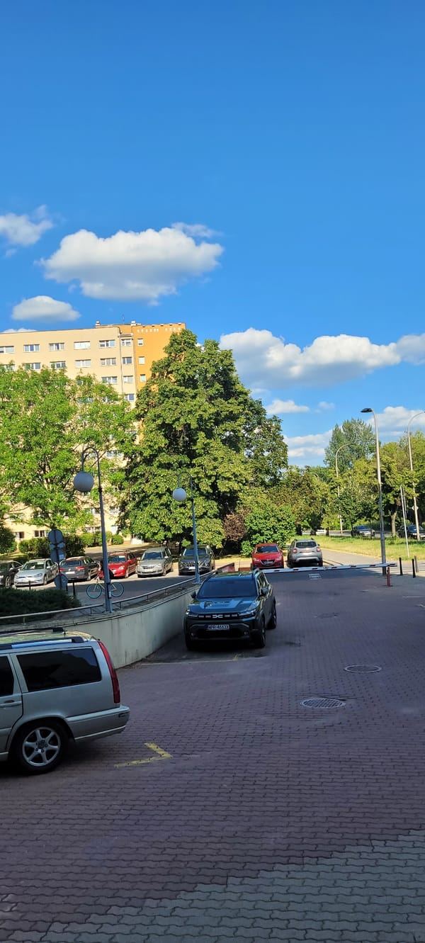 Roses, parked cars, and a modern building in Warsaw